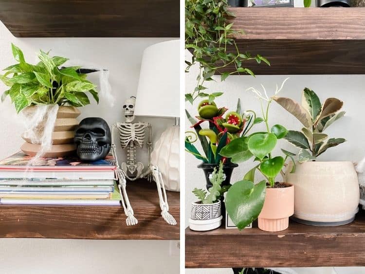 Halloween-decorated plant shelves 