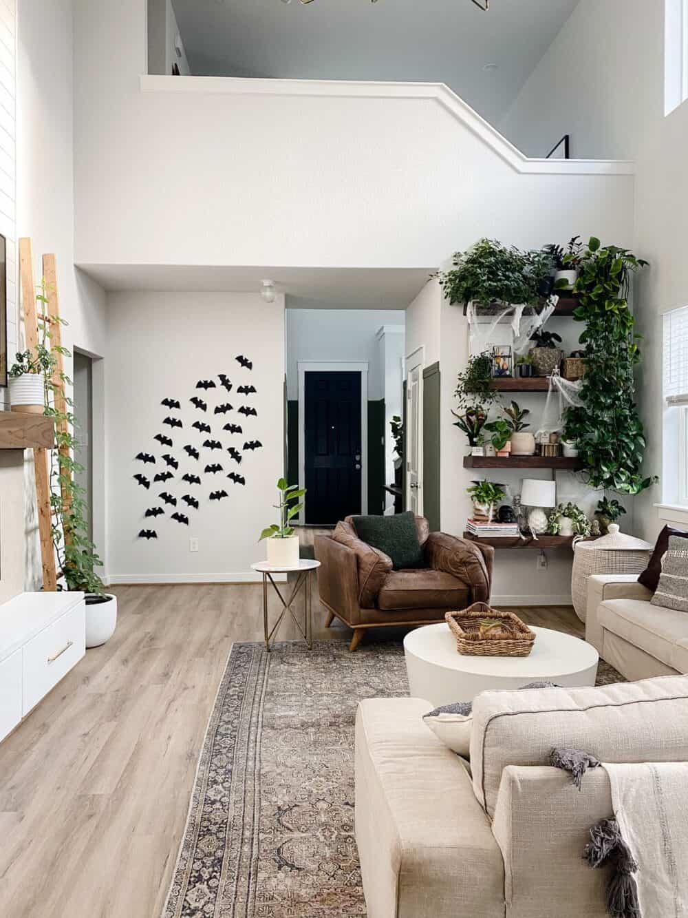 A cozy and neutral living room with Halloween bat decor and plant shelves decorated for Halloween