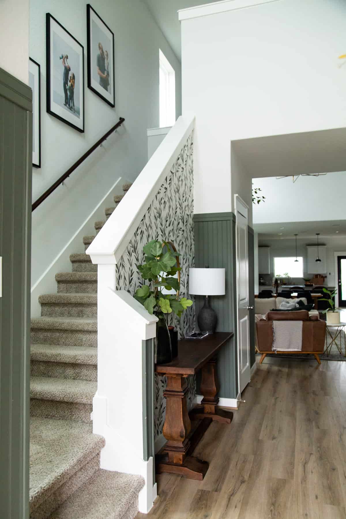 Where to Use Dark Green Paint Colors