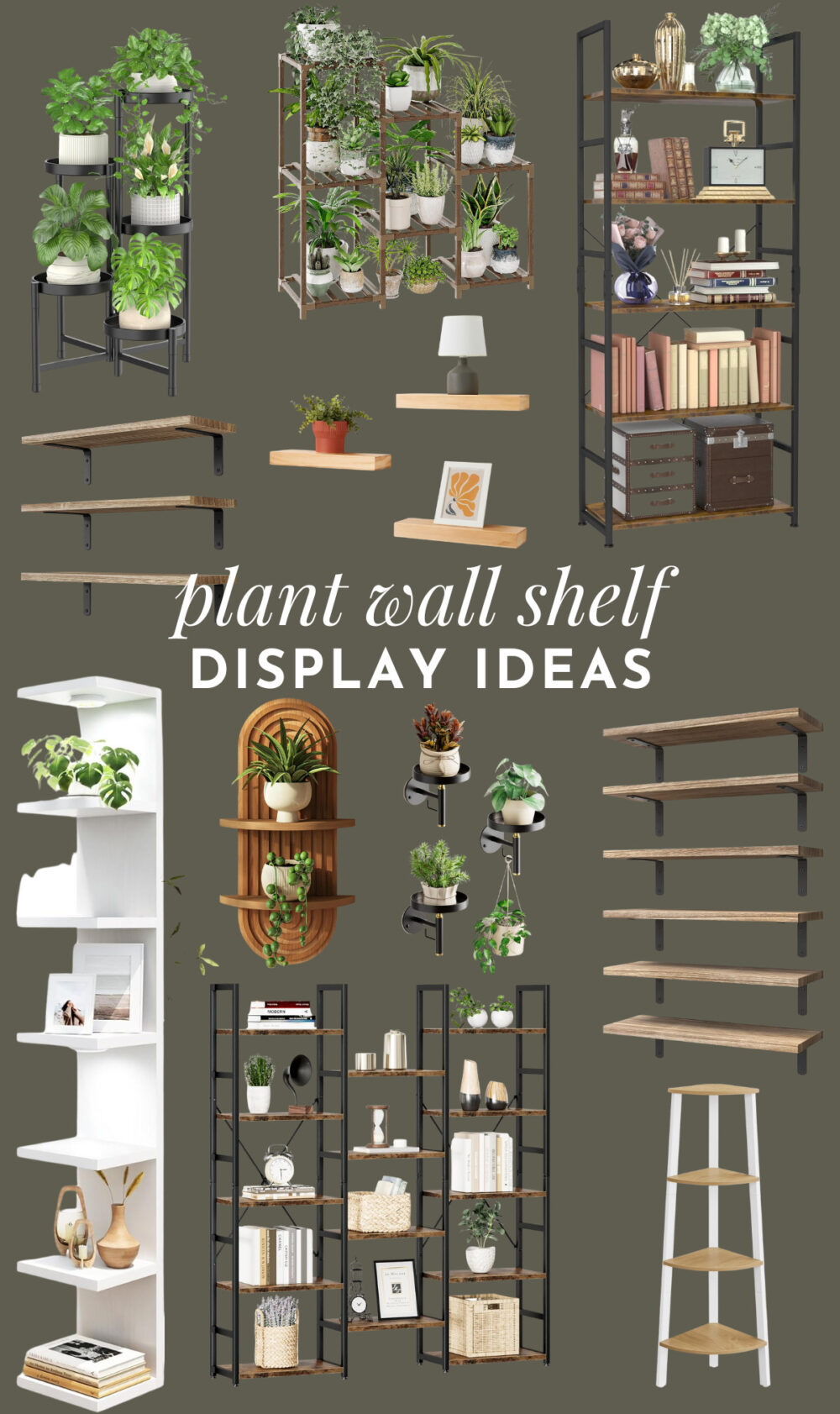 collage of plant shelf ideas