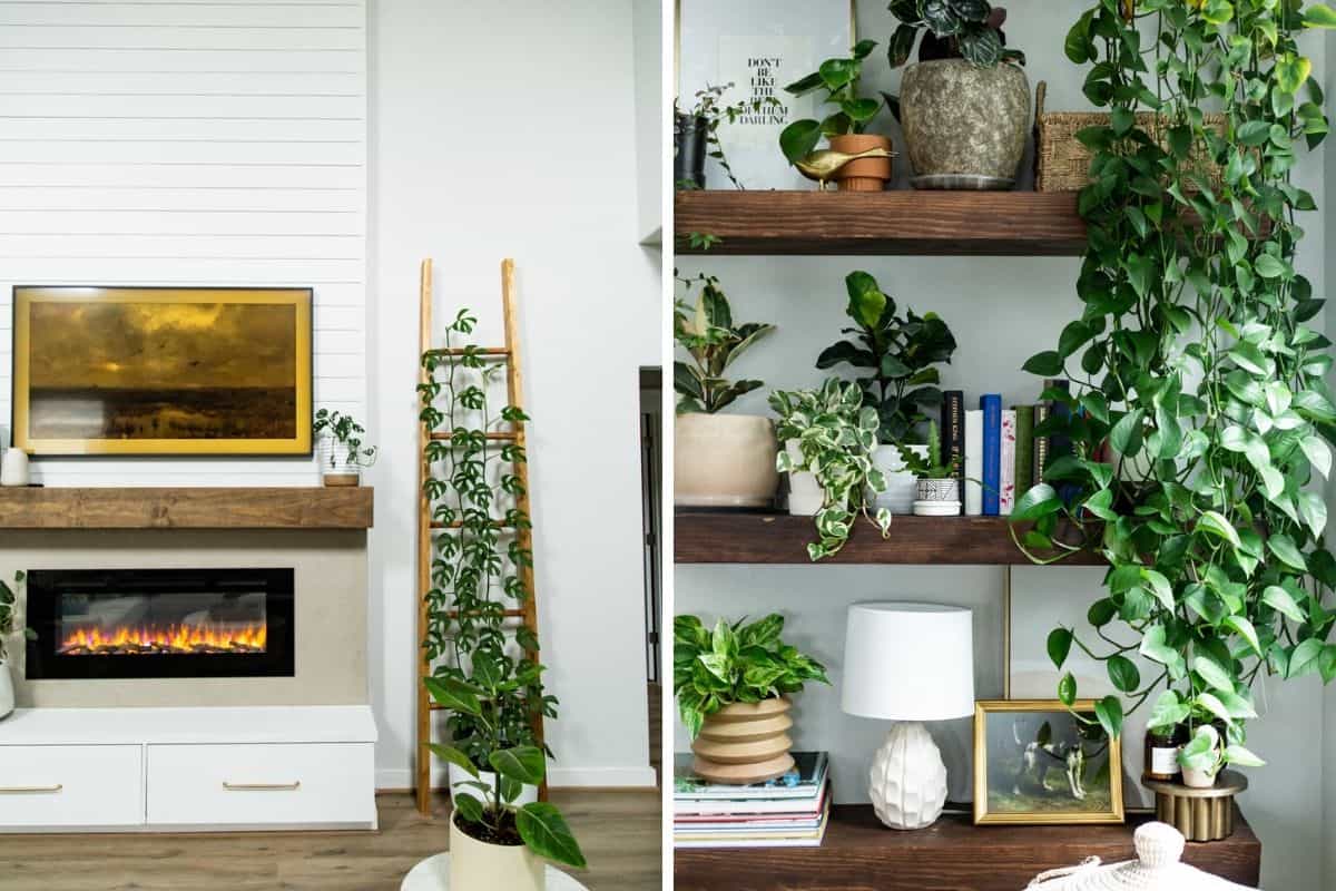 living room fireplace and plant shelves 