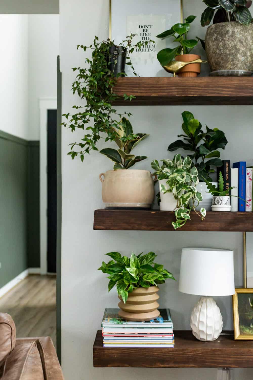 close up image of plant wall shelves
