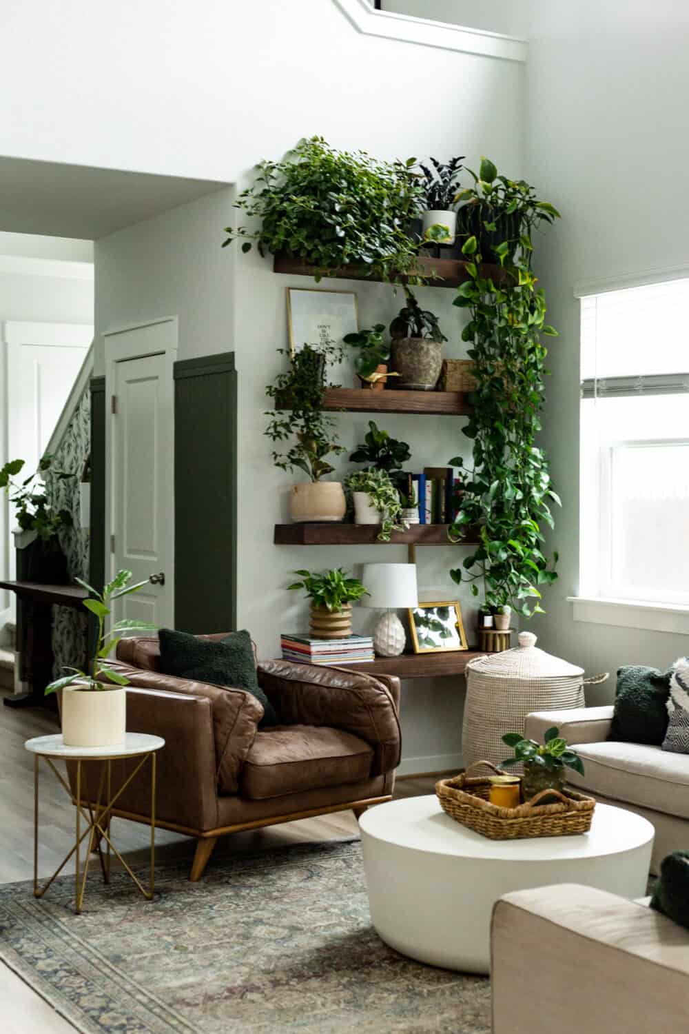 a living room with plant wall shelves creating a plant display
