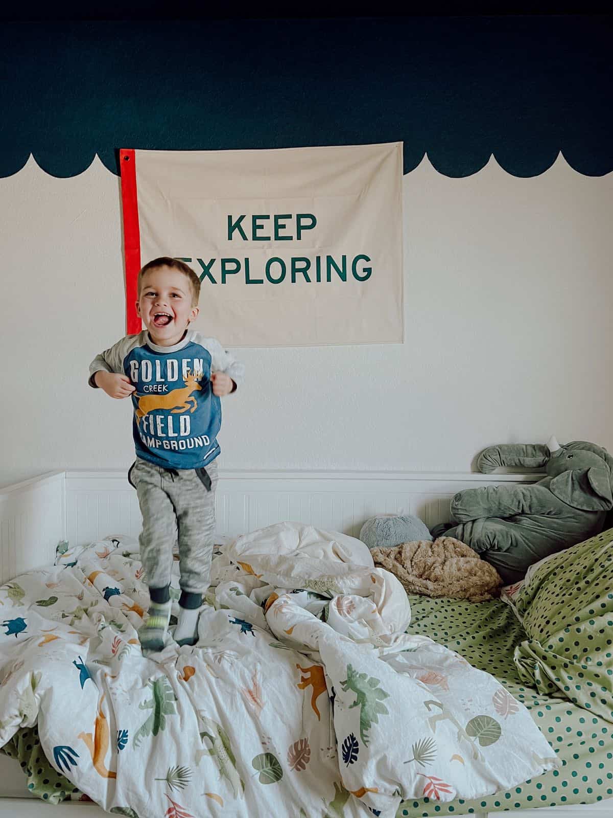 Grant’s Dinosaur Room {Inspiration & Planning}