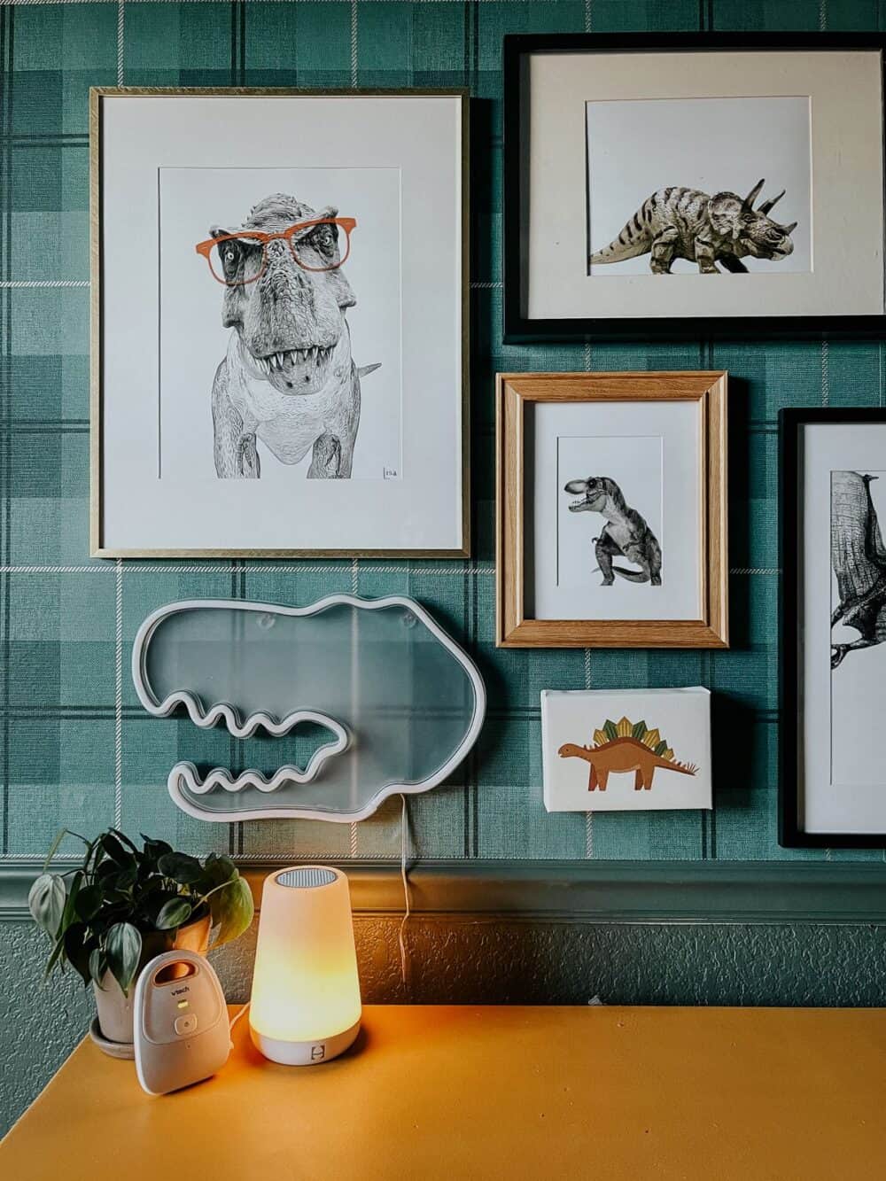 close up of a whimsical dinosaur gallery wall