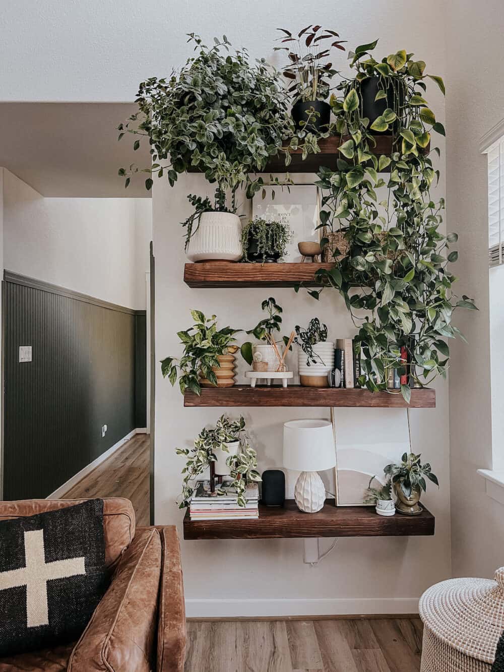 Floating shelves with lots of plants
