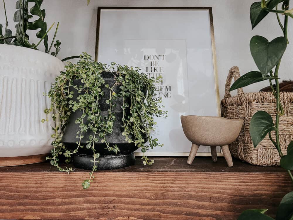 Grouping of shelf decor on a wooden shelf