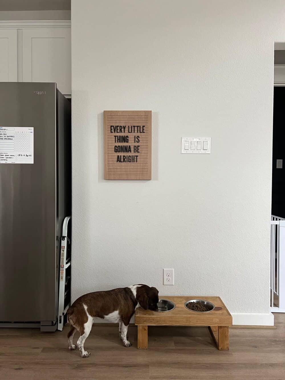 Functional area of kitchen with dog bowls and a blank wall