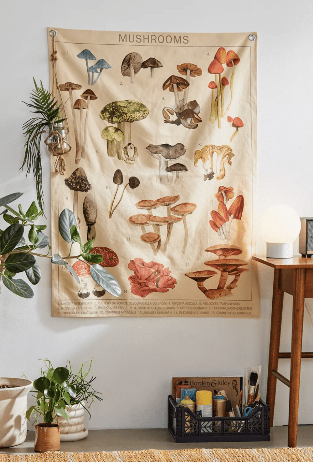 mushroom tapestry hung on a wall