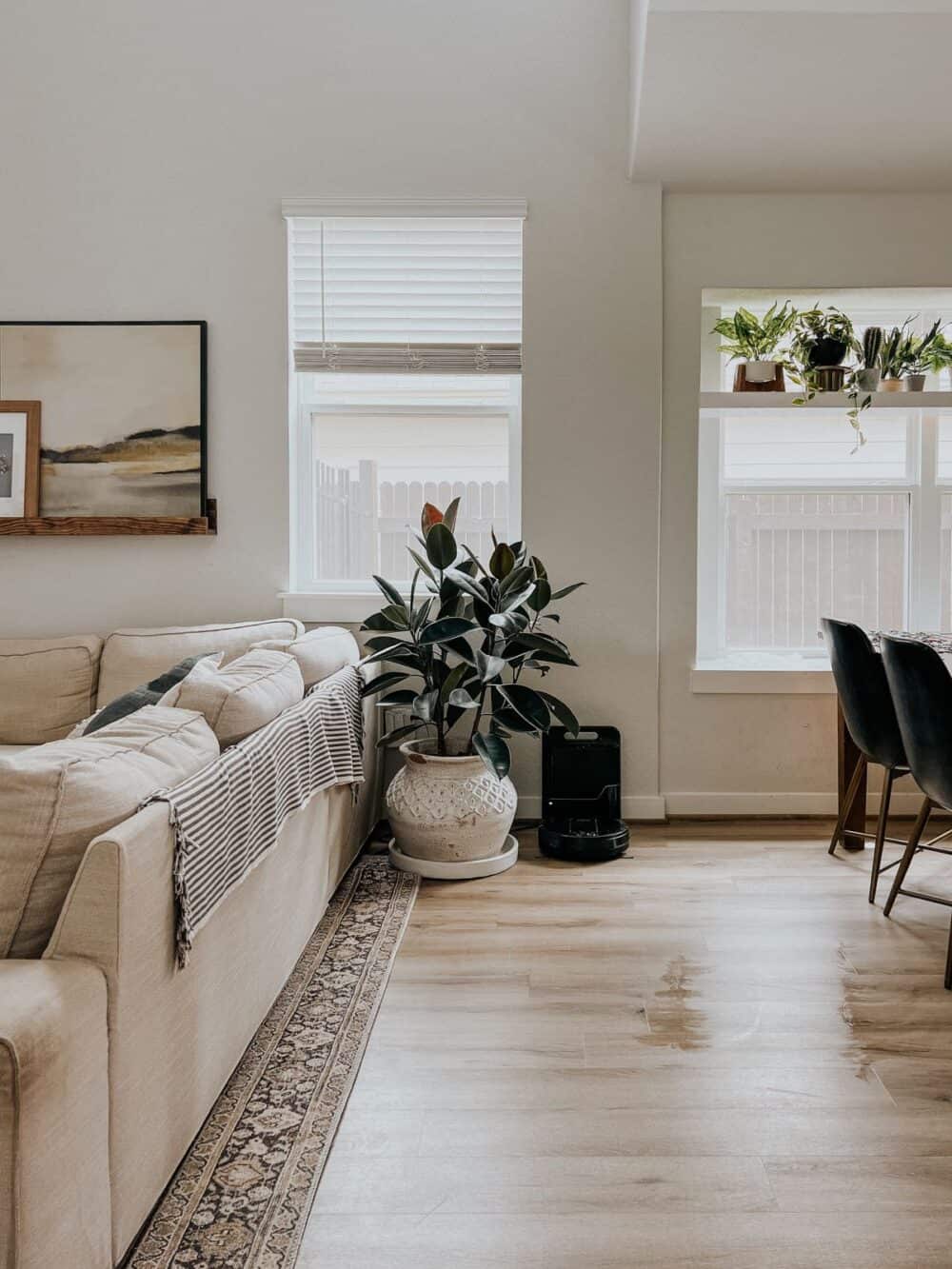 Living room with a robot vacuum 