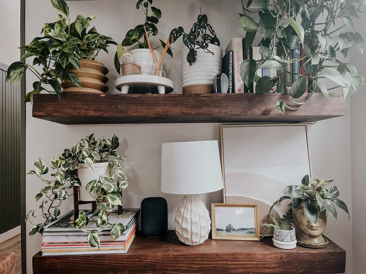 Close up of plant shelves 