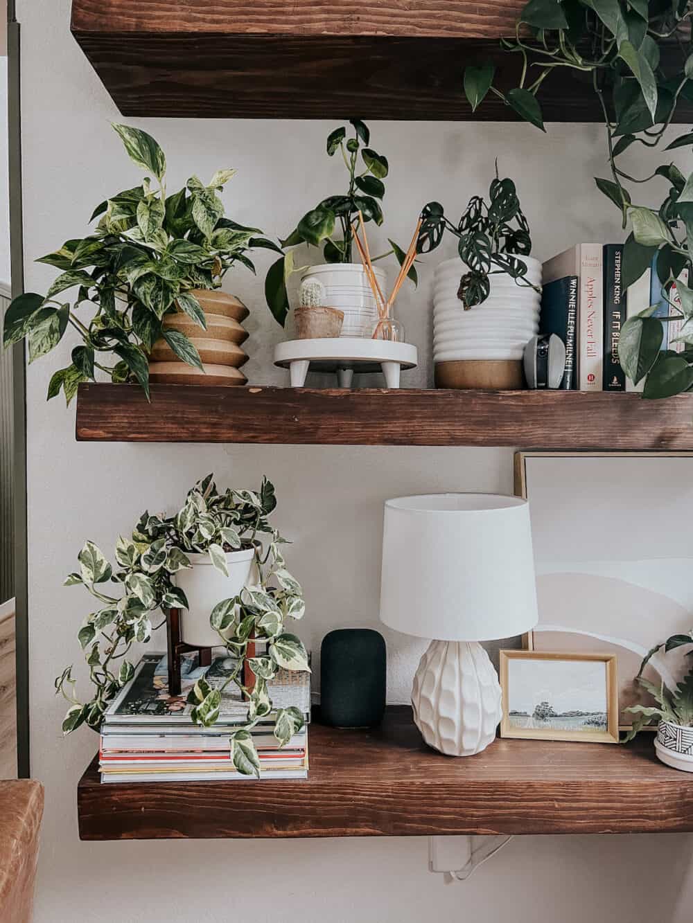 Plant shelf with unique planters