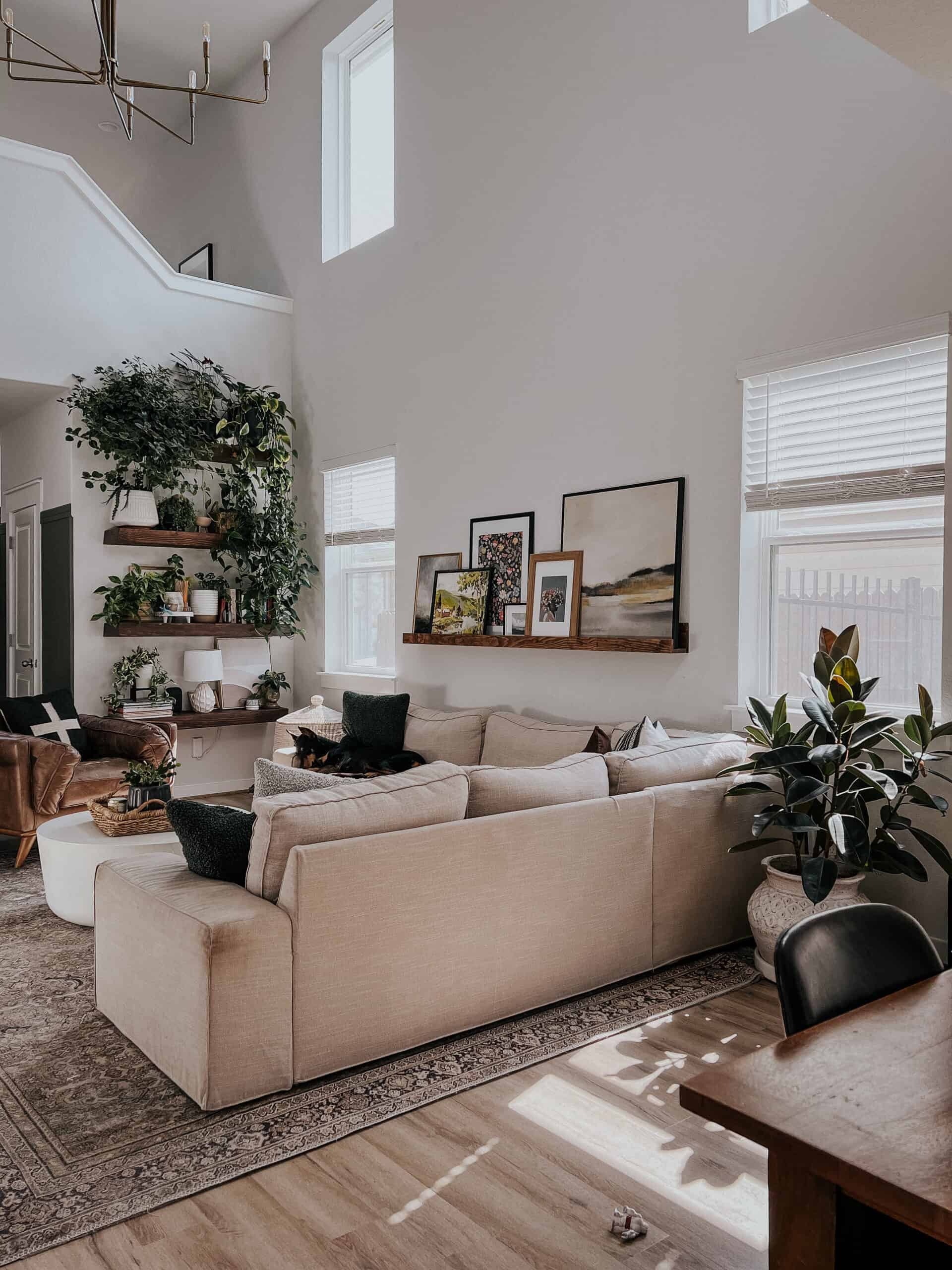 Living room with vaulted ceilings and a plant shelf