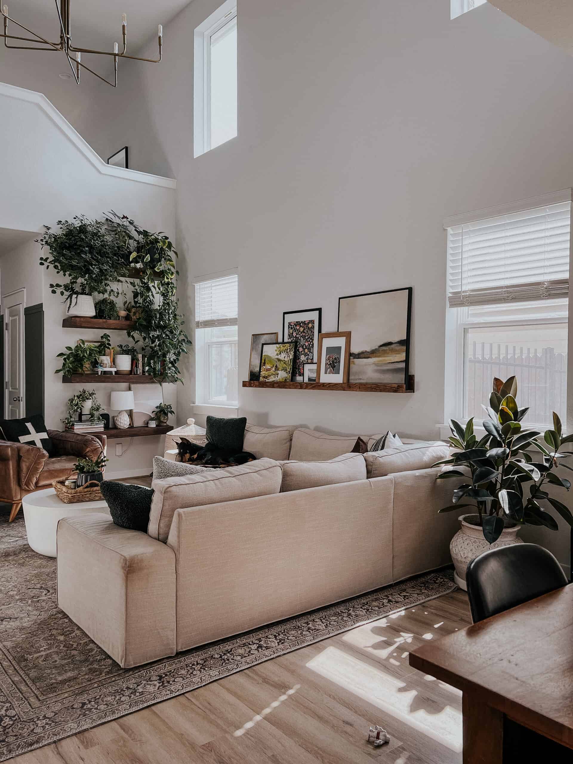 Living room with vaulted ceilings and a plant shelf 