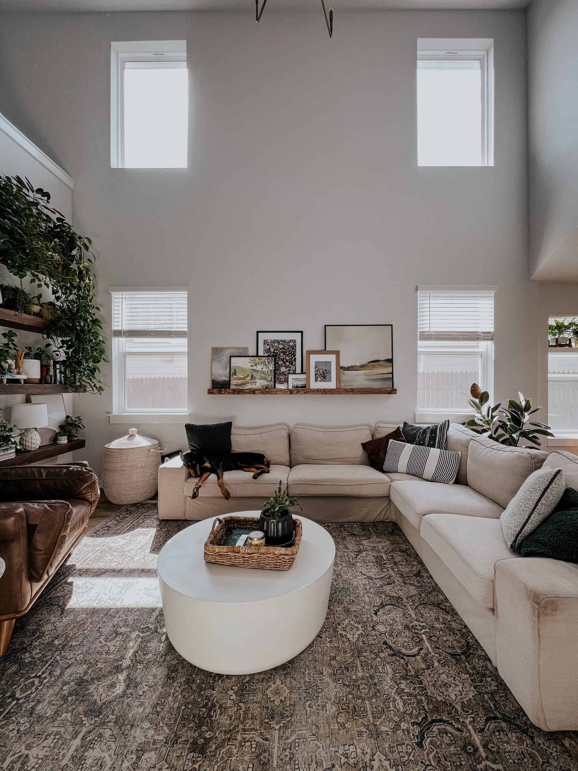 cozy neutral living room with large winidows. 
