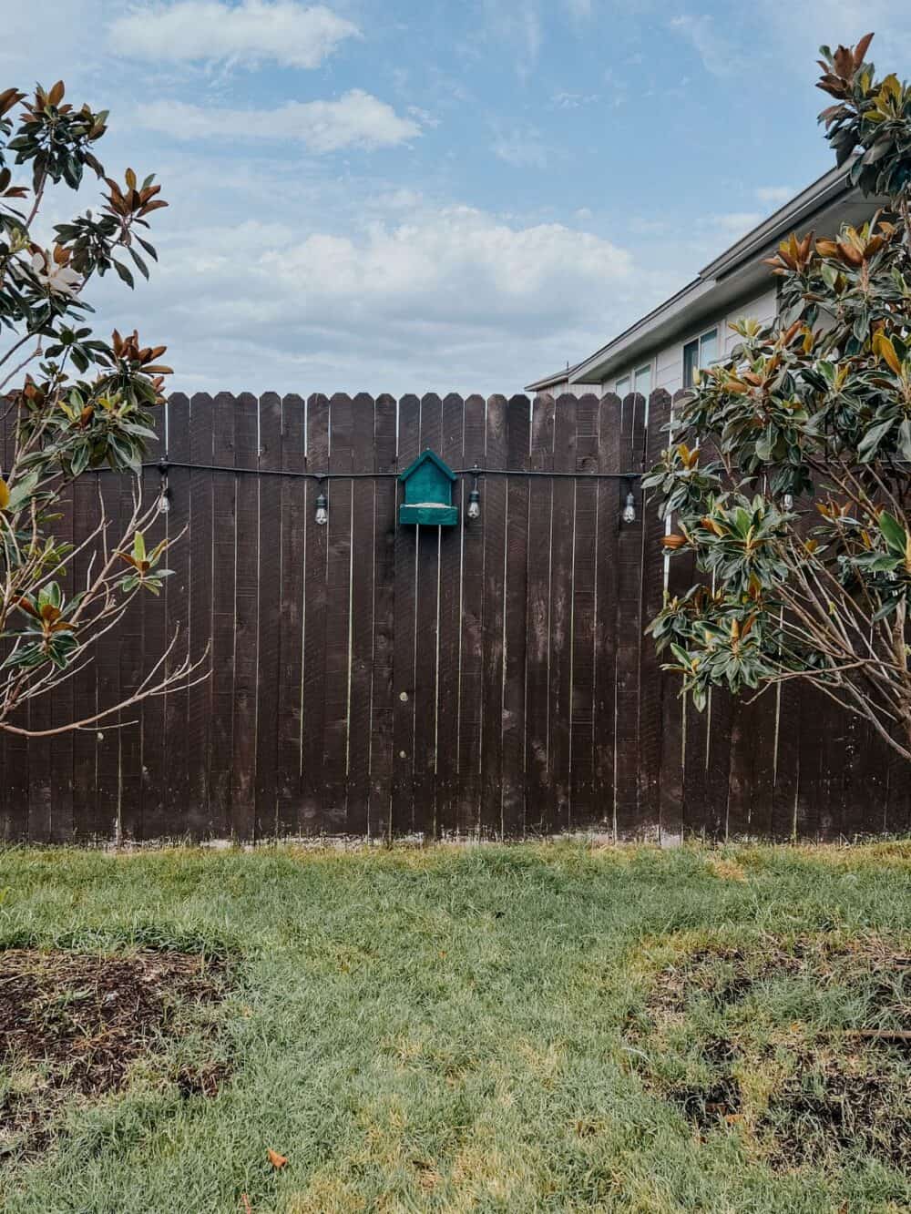 dark stained wood fence with a small bird feeder hanging on it 