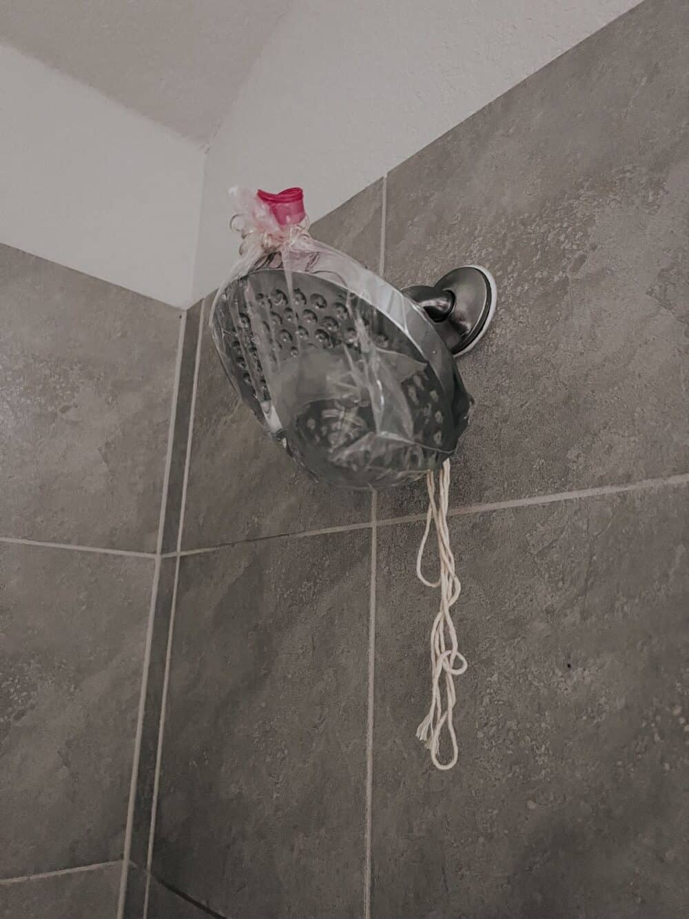 Shower head being cleaned with a bag of vinegar 