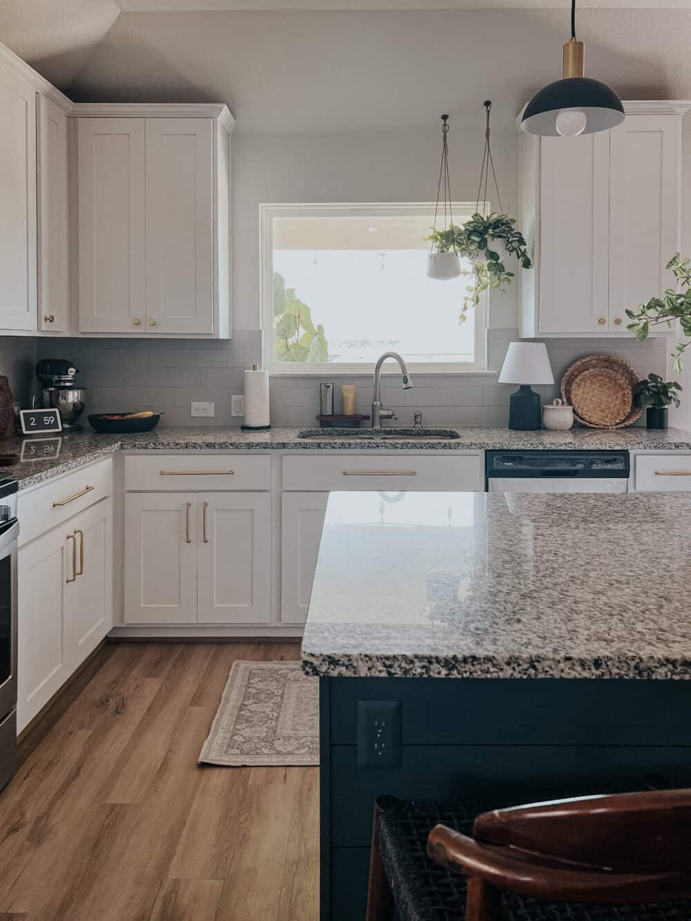 kitchen with plants hanging from the ceiiling