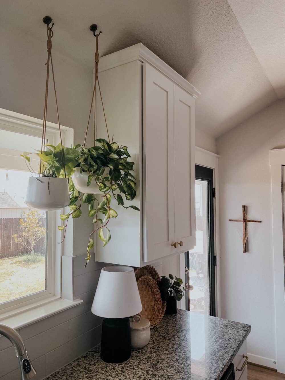 Close up of plants hanging from ceiling