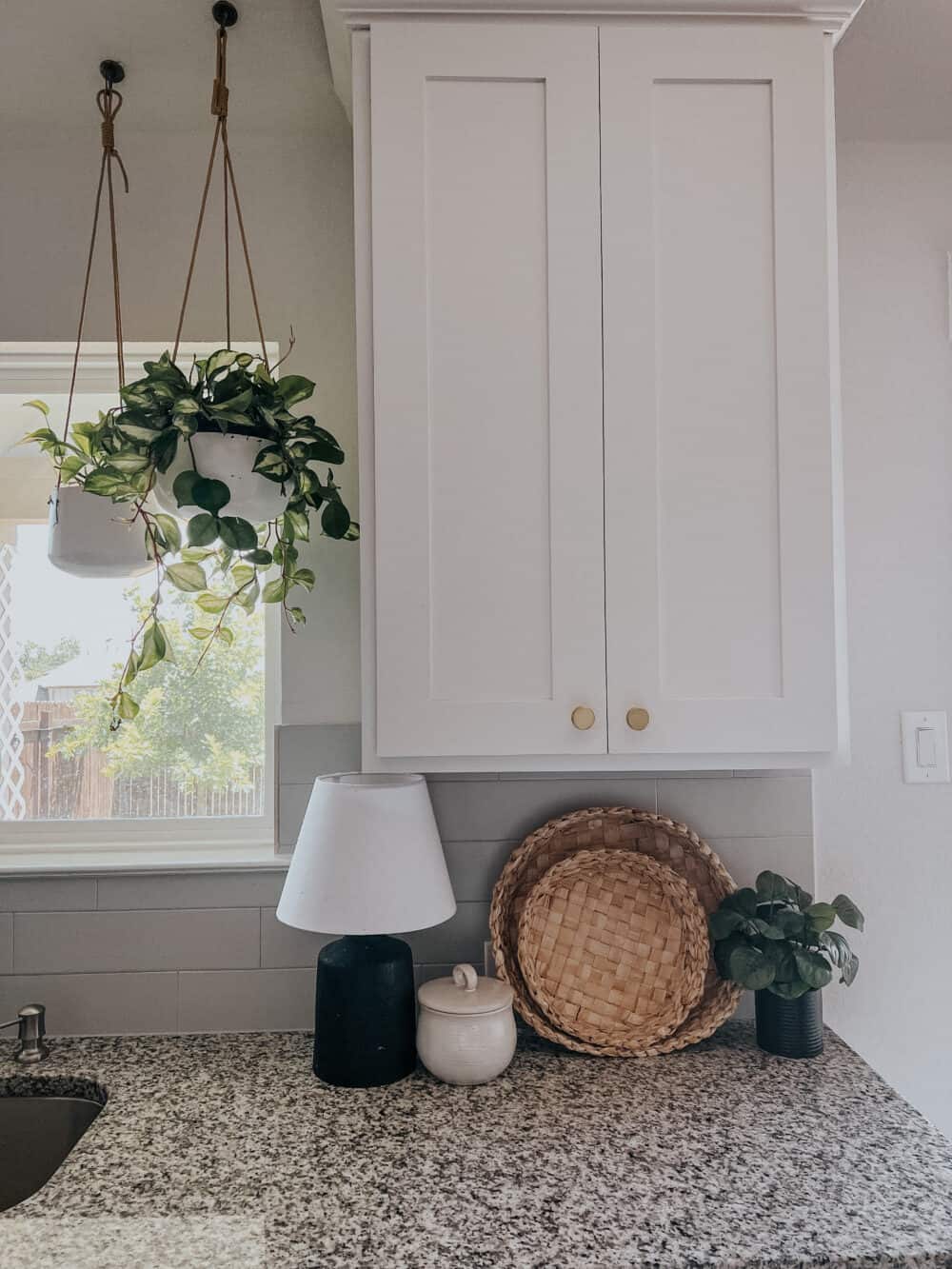 Kitchen cabinet with plants hanging from the ceiling next to it 