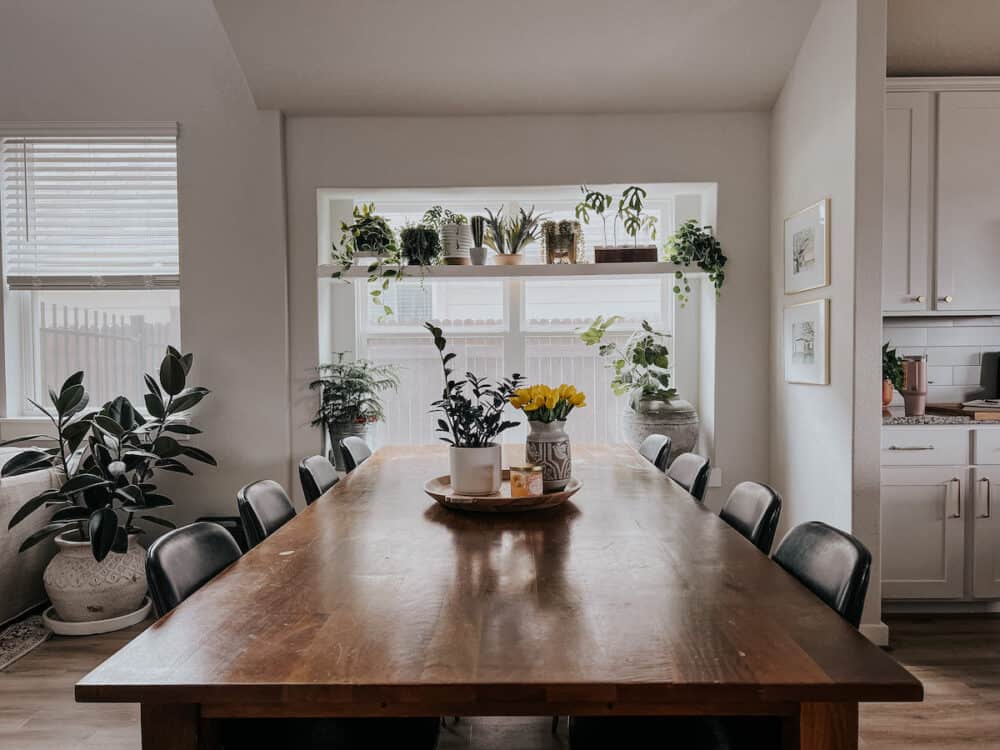 Plant shelf in a window 