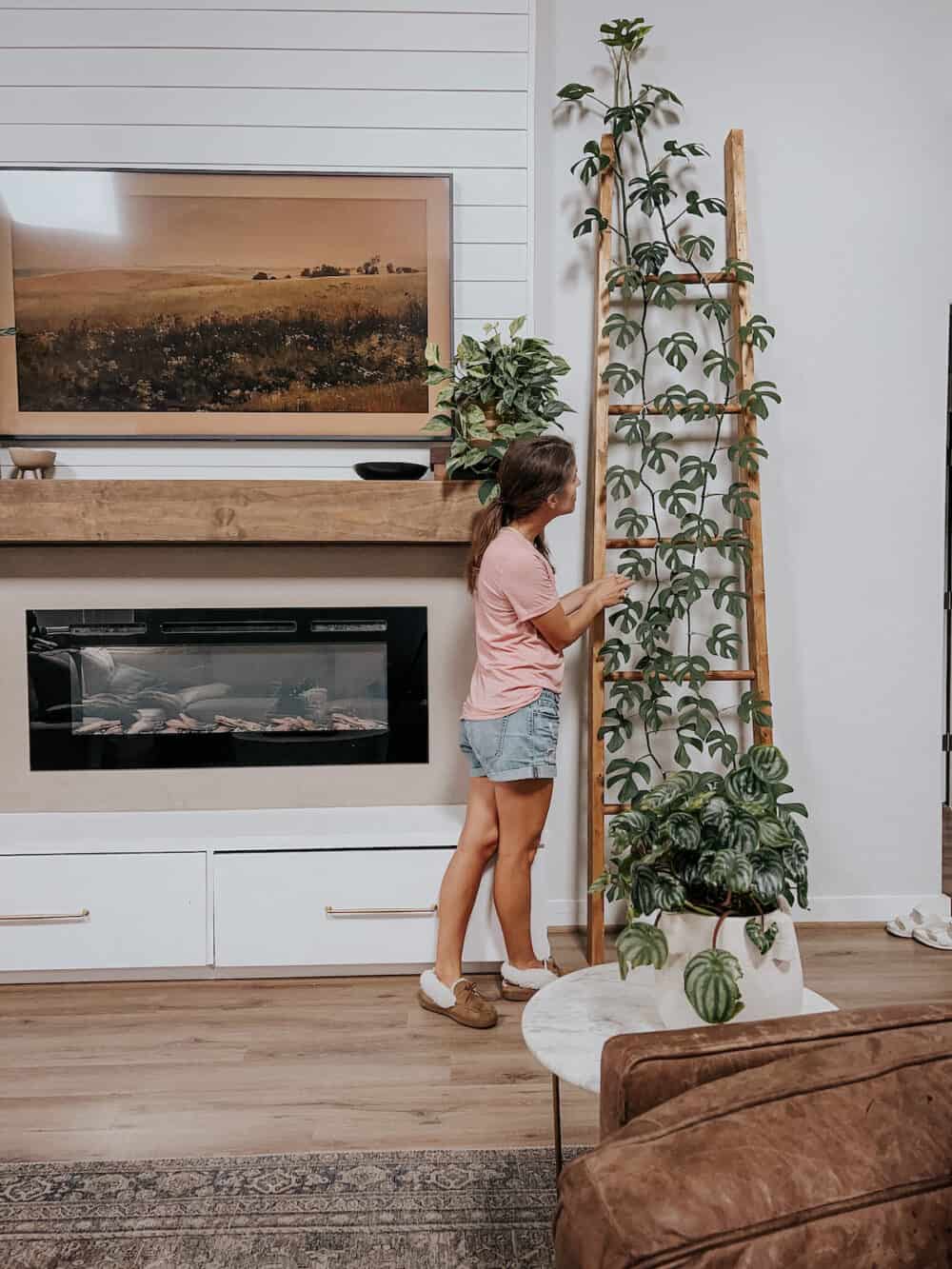 Woman watering a rhaphidophora tetrasperma on a tall indoor trellis 