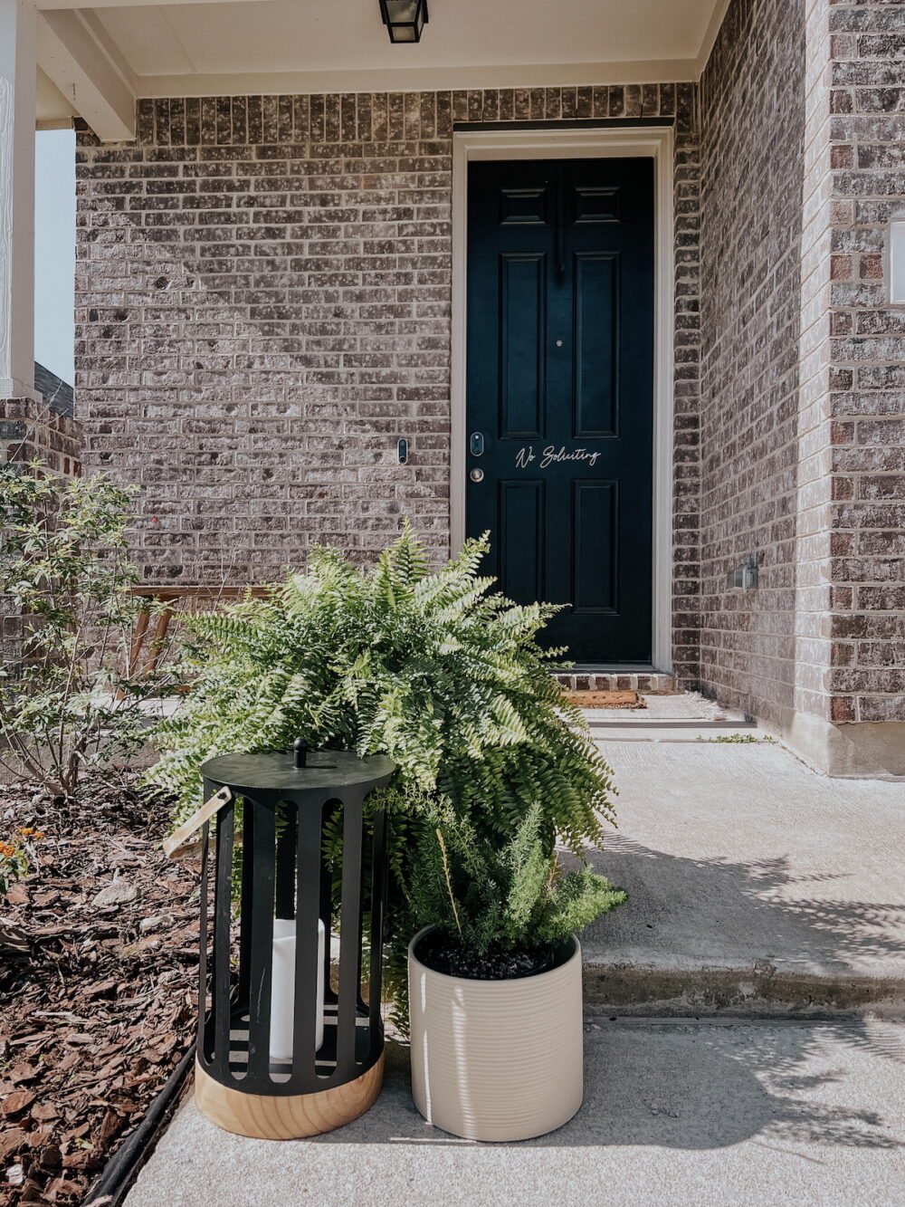 close of of plants on a front porch