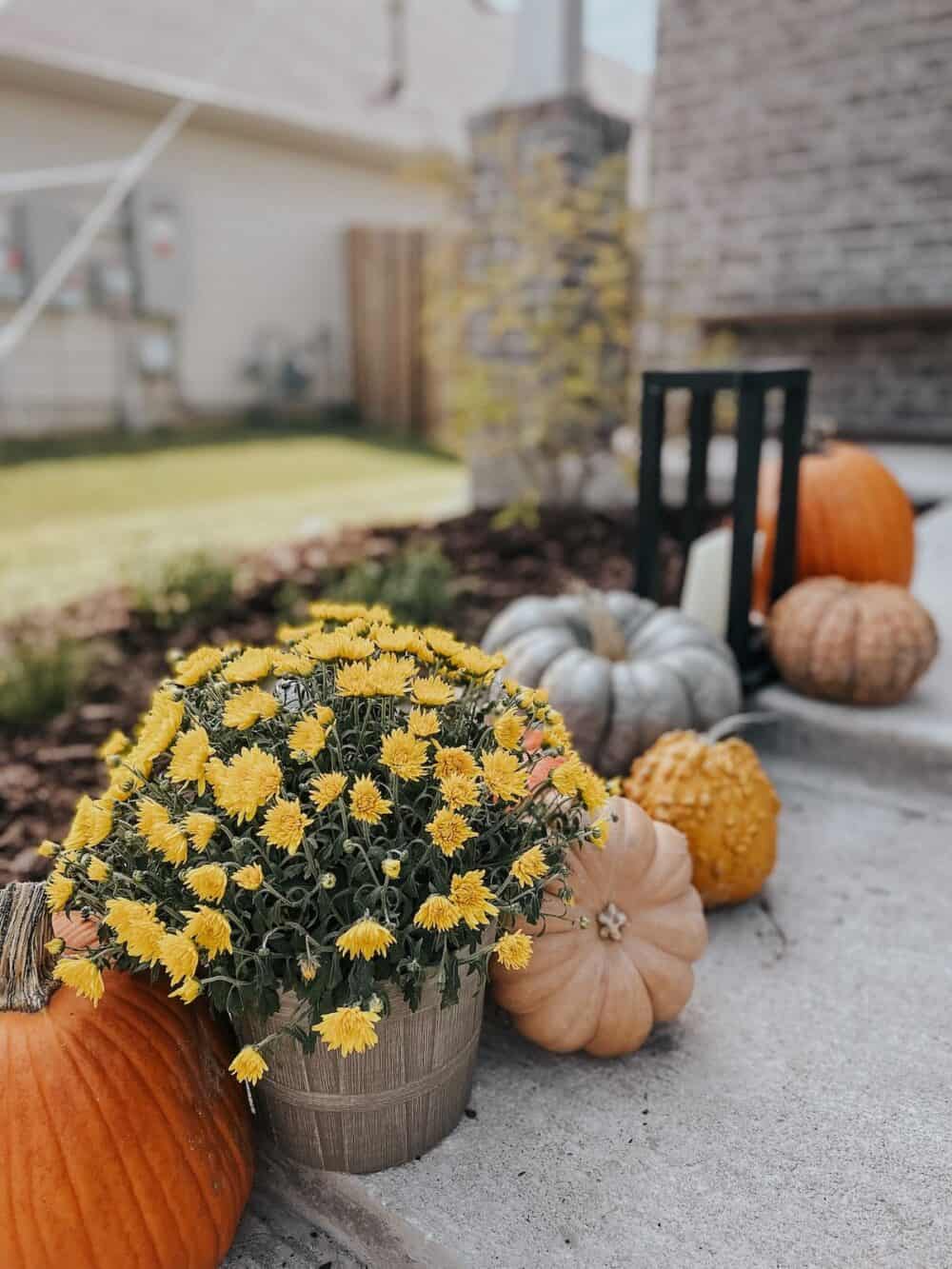 close up of halloween decorations on front porch 