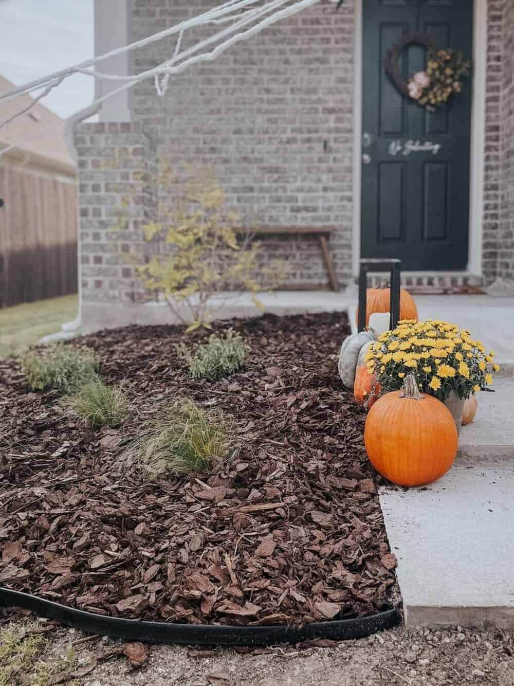 close up of front flower bed 