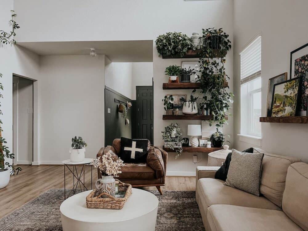 Living room with shelves full of plants 