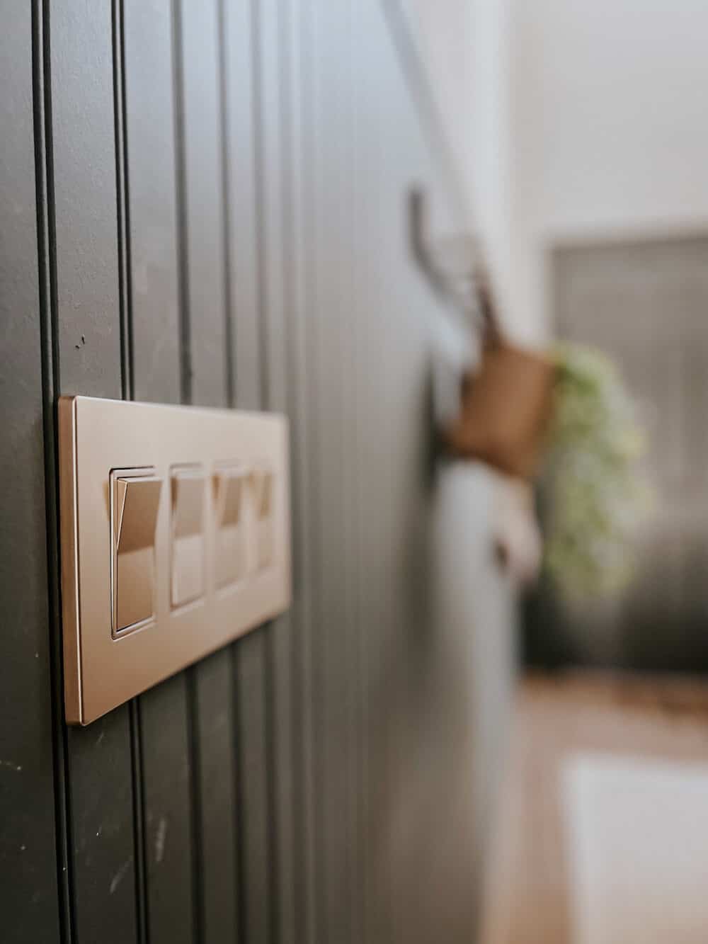 gold light switch and plate on a green paneled wall 