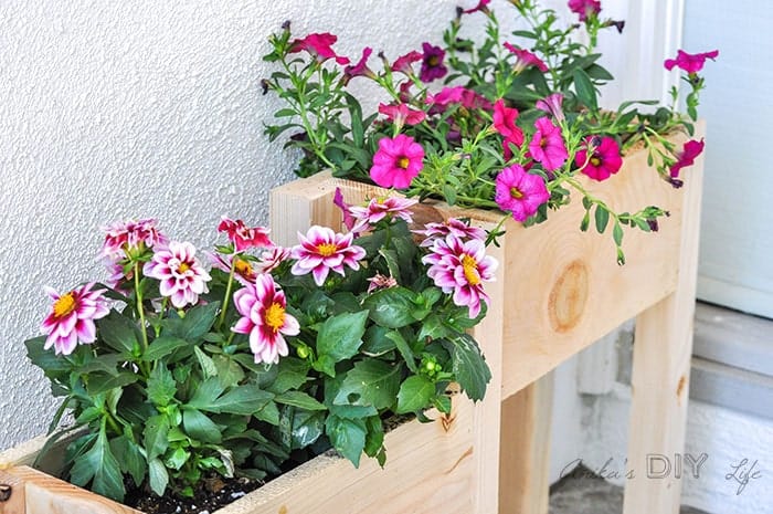 wooden tiered planter box