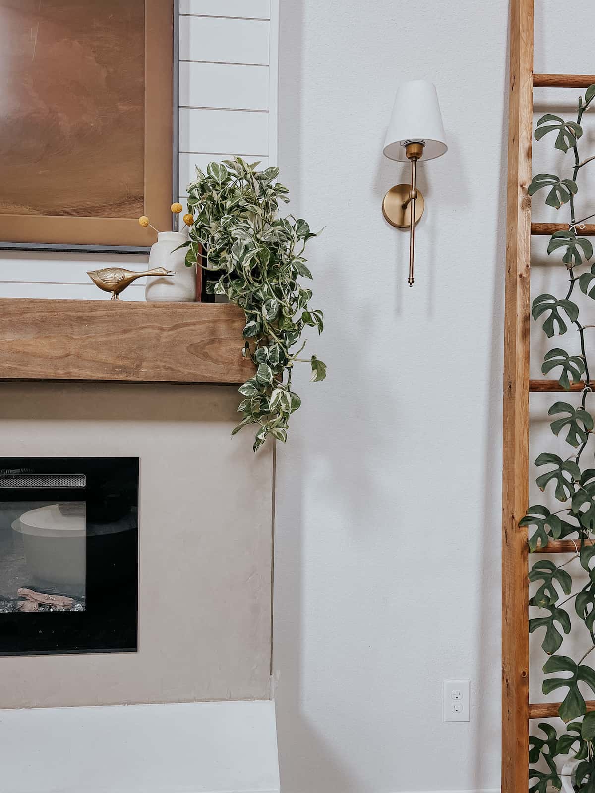 living rom fireplace with tall plants 