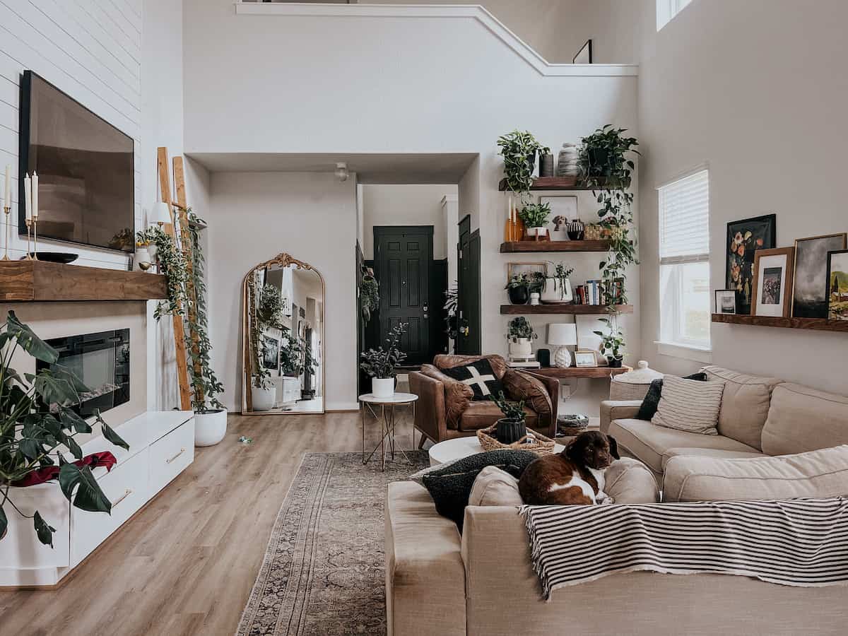 living room with lots of plants and neutral colors 