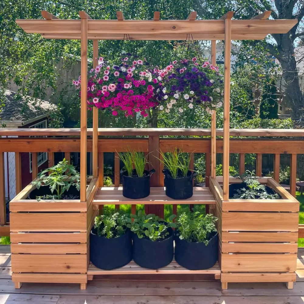 plant stand with arbor and room for hanging plants 