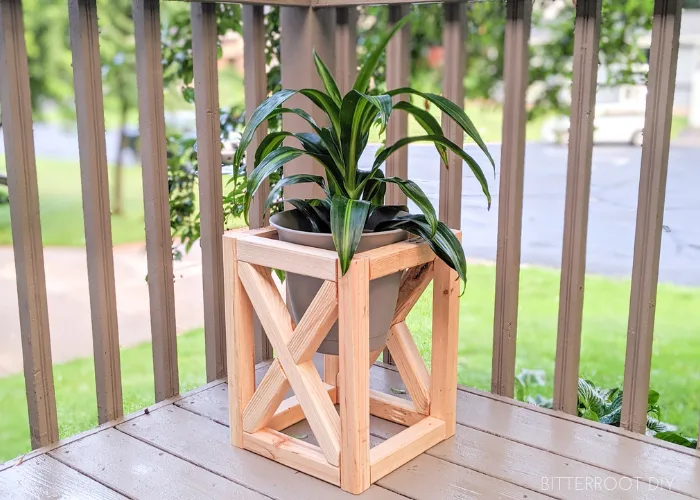 x frame plant stand