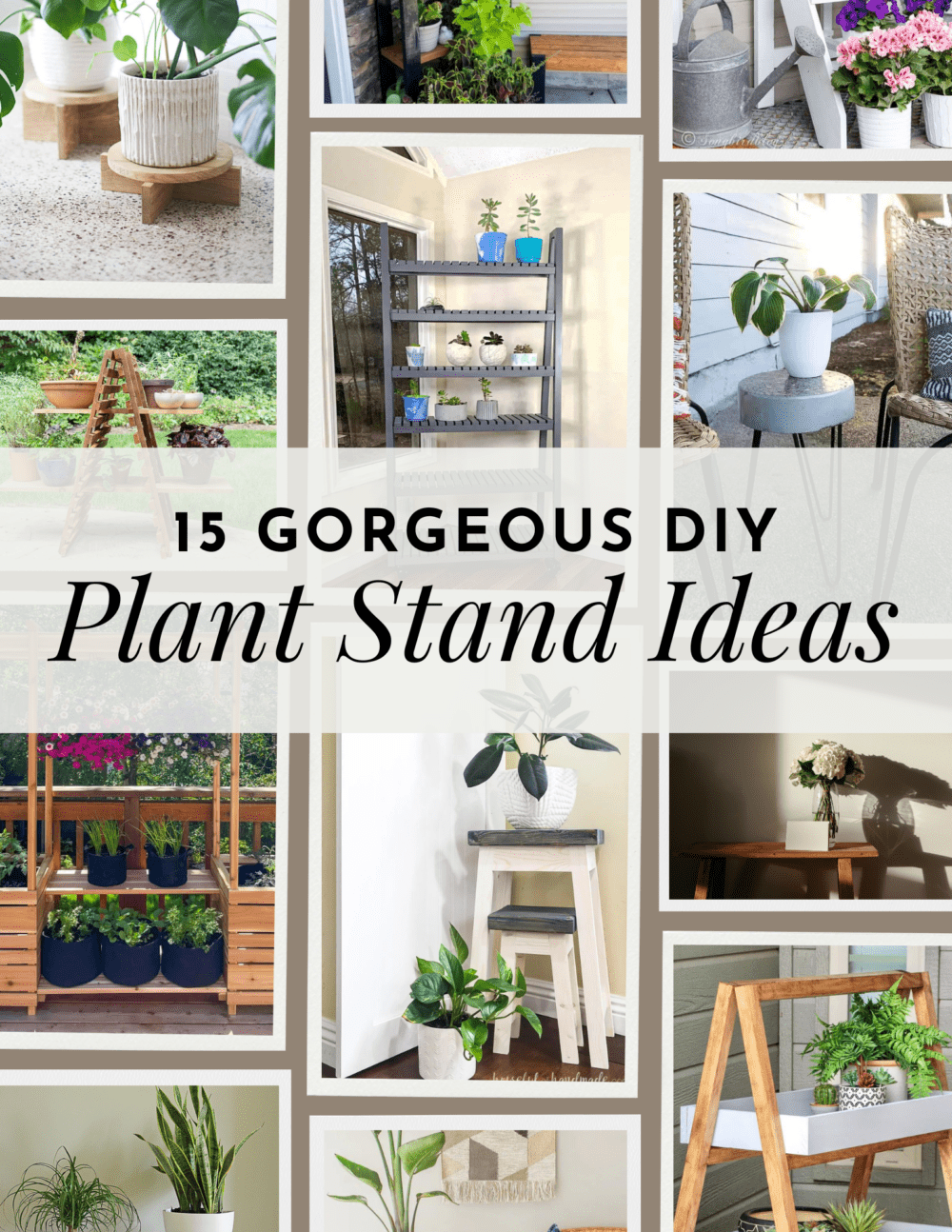 collage of plant stands with text overlay - 15 gorgeous diy plant stand ideas 