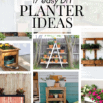 Collage of planter ideas