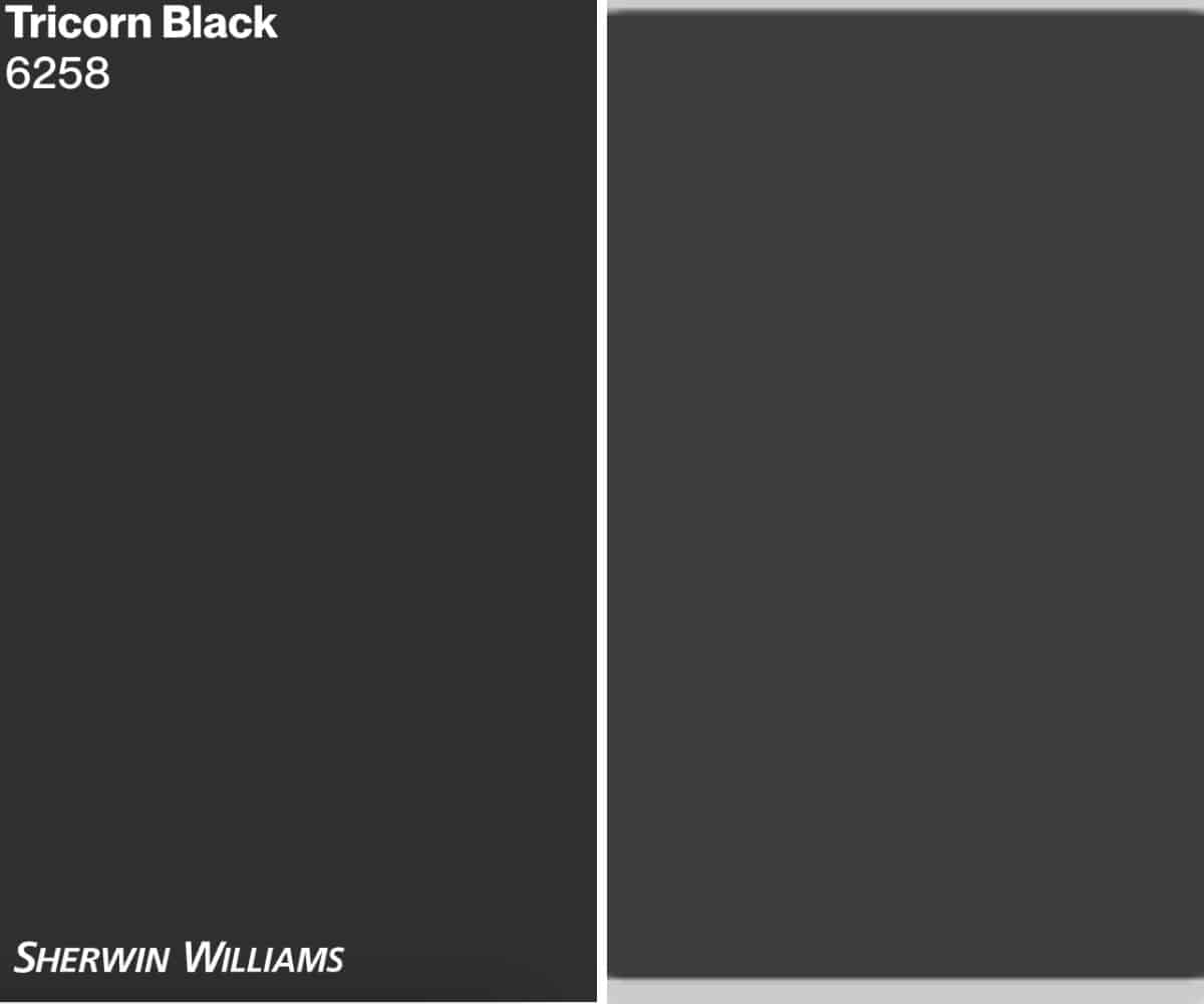 Sherwin Williams Tricorn Black: A Deep Dive – Love & Renovations