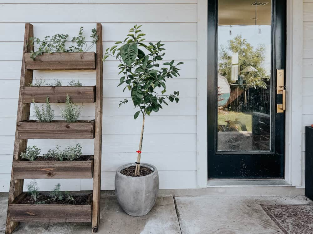 leaning herb garden on a back patio 