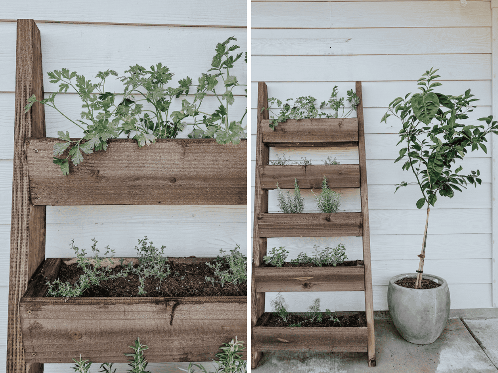 close up of leaning herb garden 