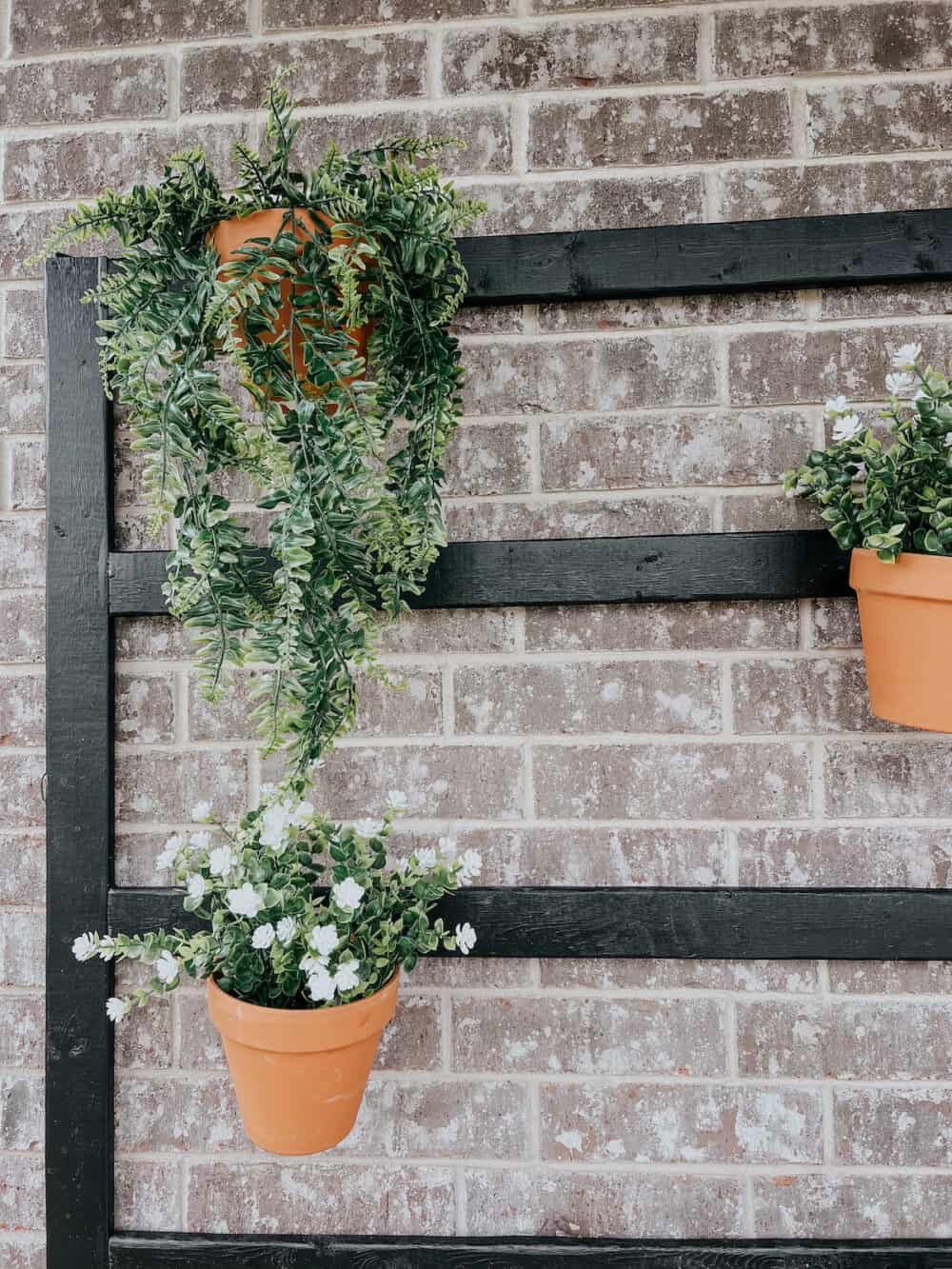 close up of outdoor plant hanger 