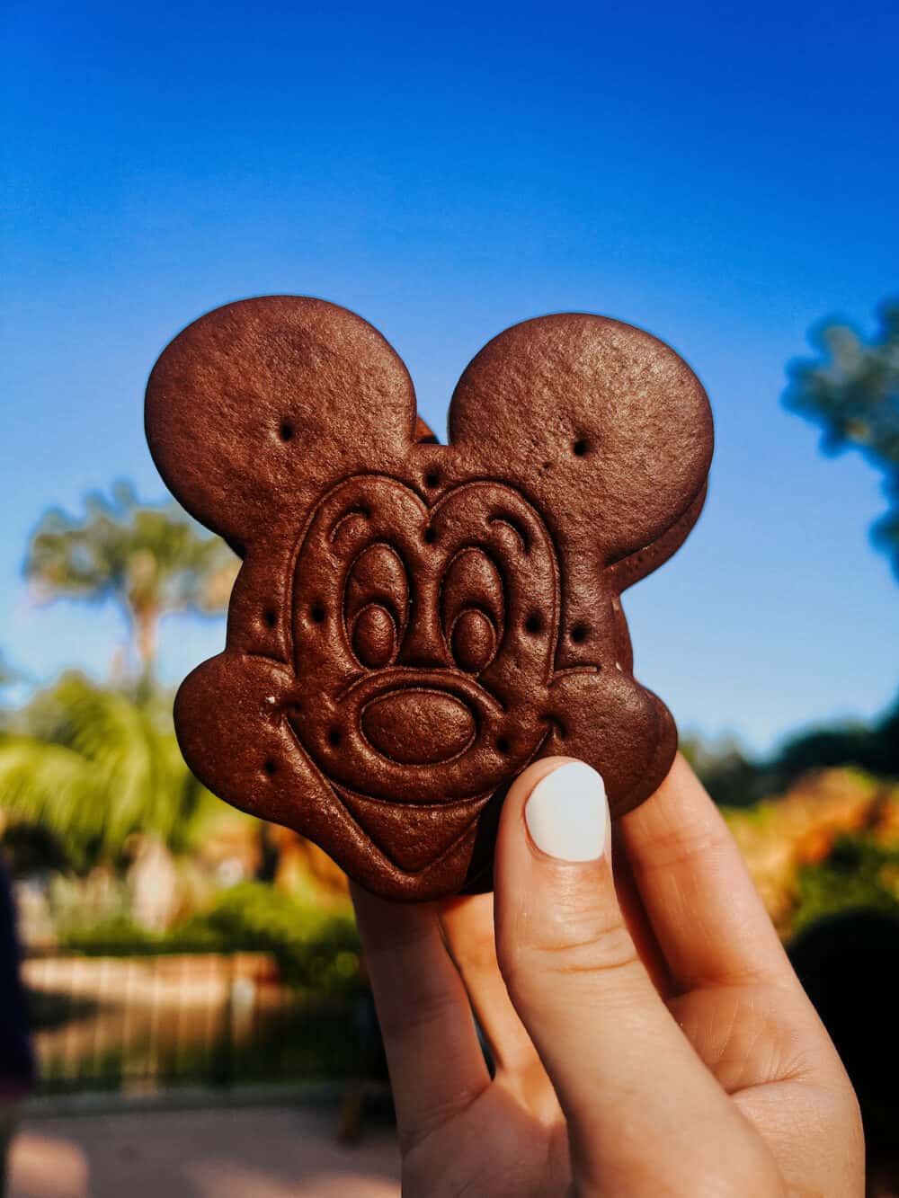 hand holding a Mickey shaped ice cream sandwich at Disney World 