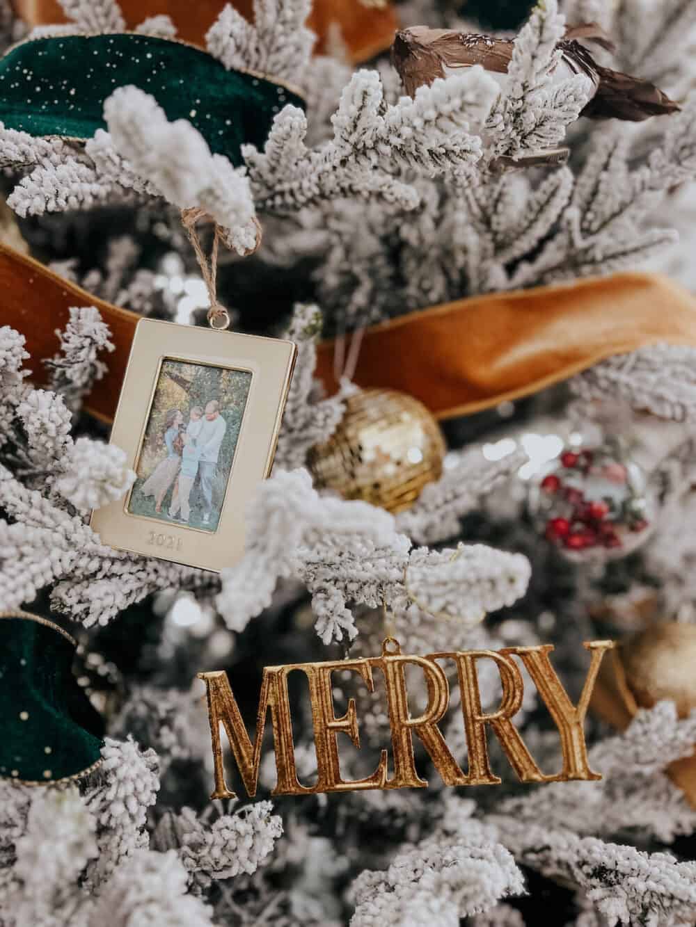 Close up of christmas tree with a photo ornament 