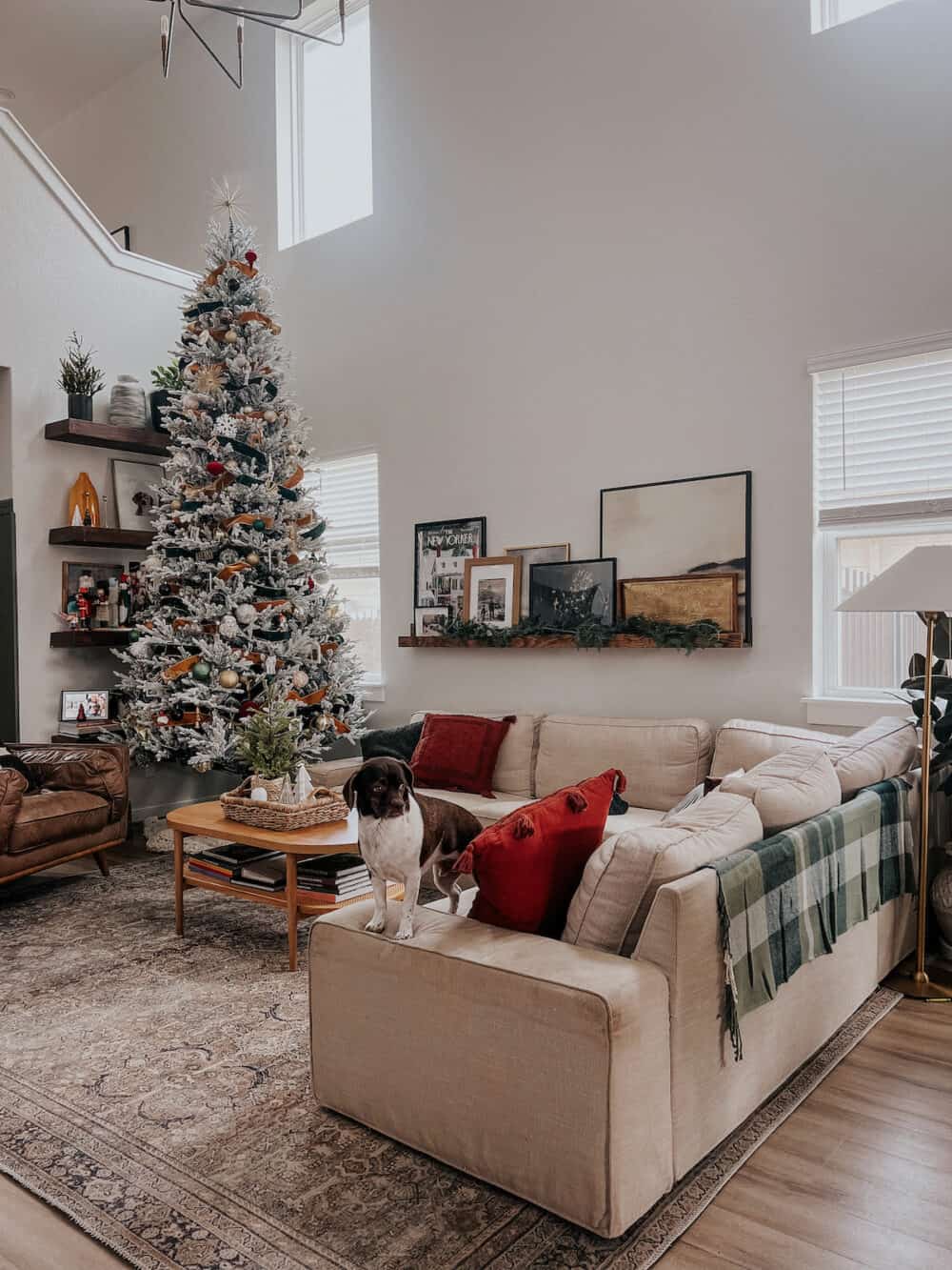 Living room with a 12' flocked Christmas tree 