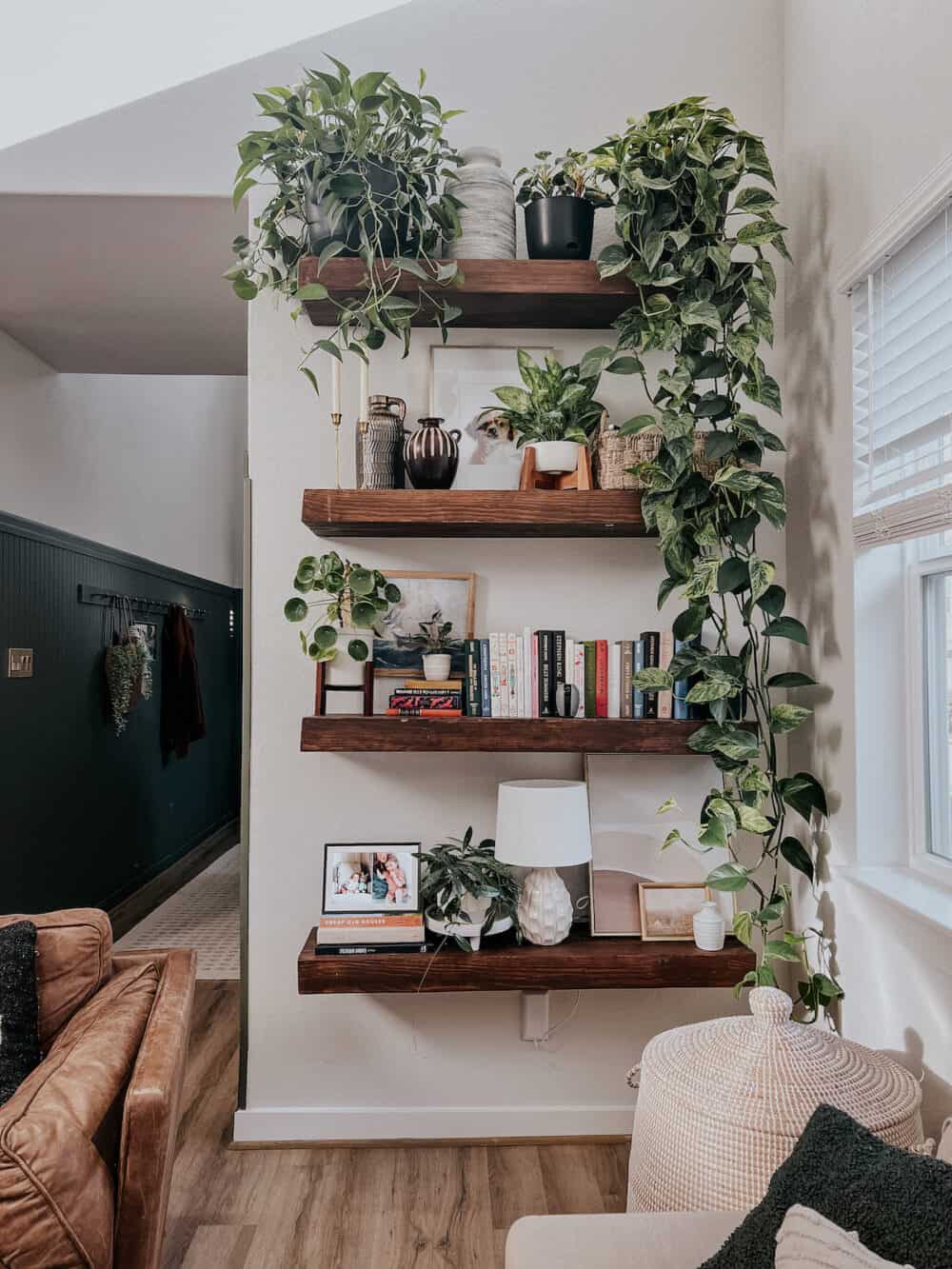 open shelving with two large pothos plants 