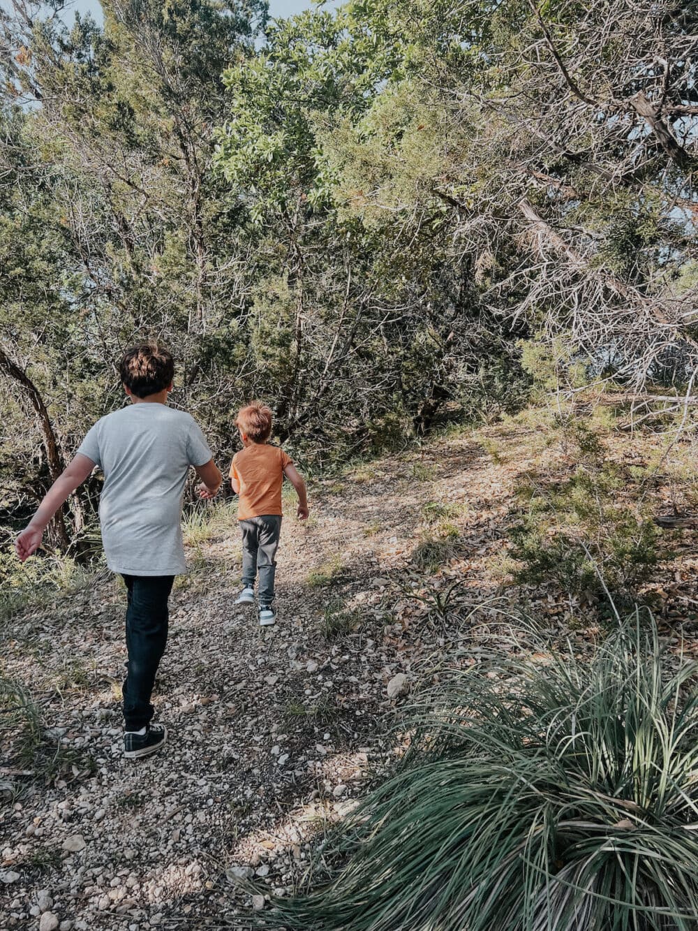two young boys walking through a trail in a wooded area
