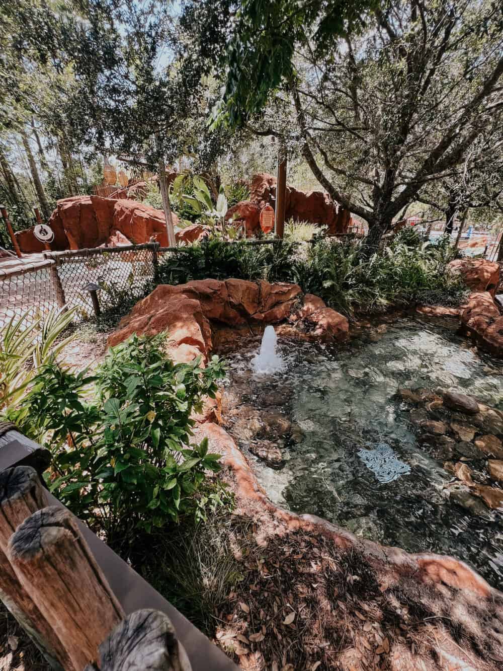 view of water at Animal Kingdom lodge