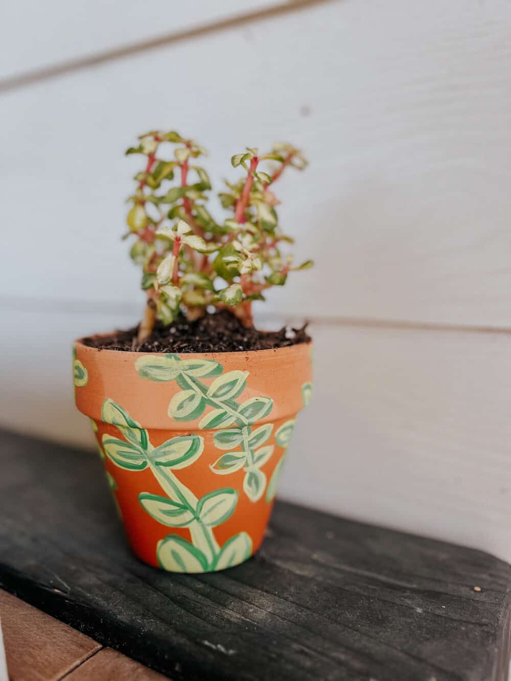 painted flower pot with leaves