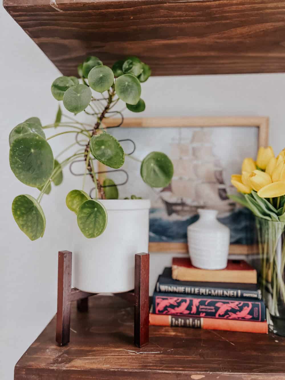 A small plant with an indoor plant trellis added for stability